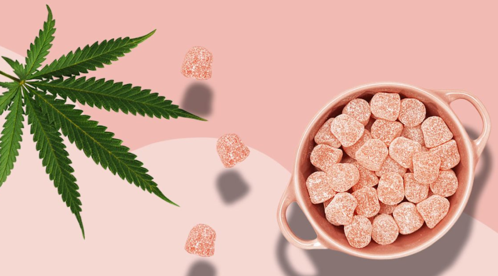 Myco Nootropic Brain Gummies