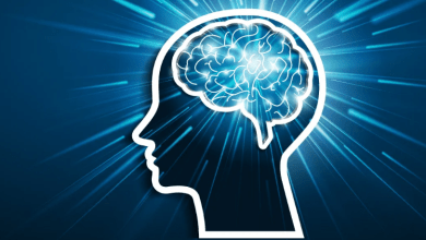 Alpha Brain Review