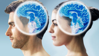 Fast Brain Booster