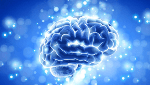 Neuro Fortis Pro Capsules