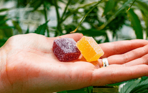 Sarah's Blessing CBD Gummies